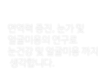 메인 비주얼 텍스트5